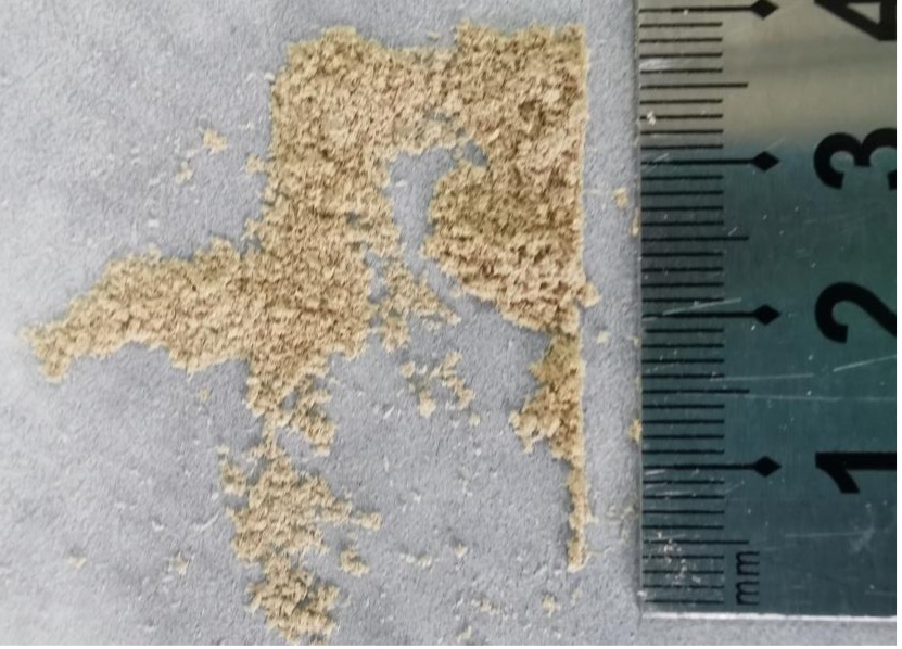 60Hz频率研磨360s后