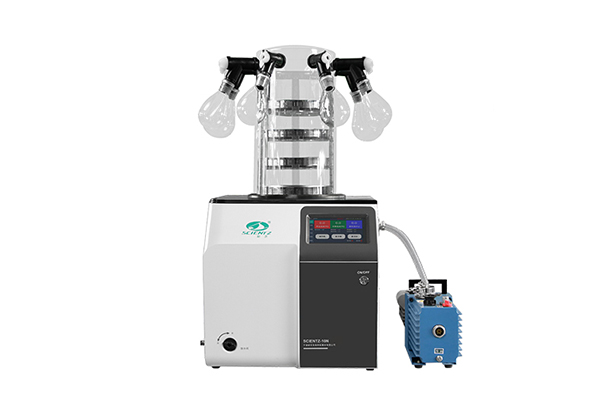 普通多歧管型冻干机SCIENTZ-10N/C