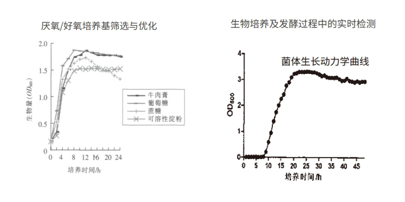 过程安全，结果精准